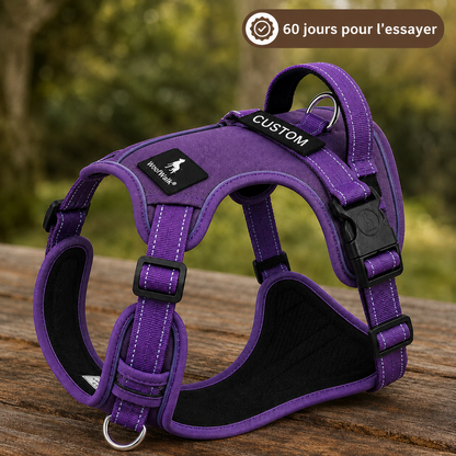 Harnais anti-traction WoofWalk Violet