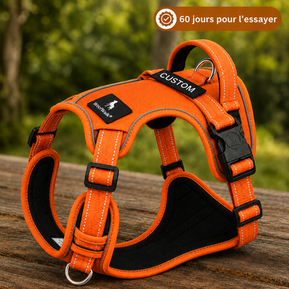 Harnais anti-traction WoofWalk Orange