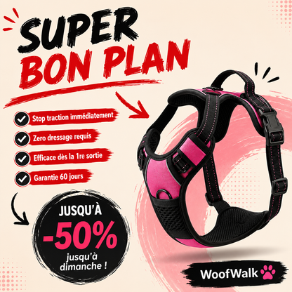 WoofWalk - bon plan