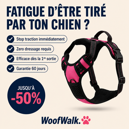WoofWalk - héros