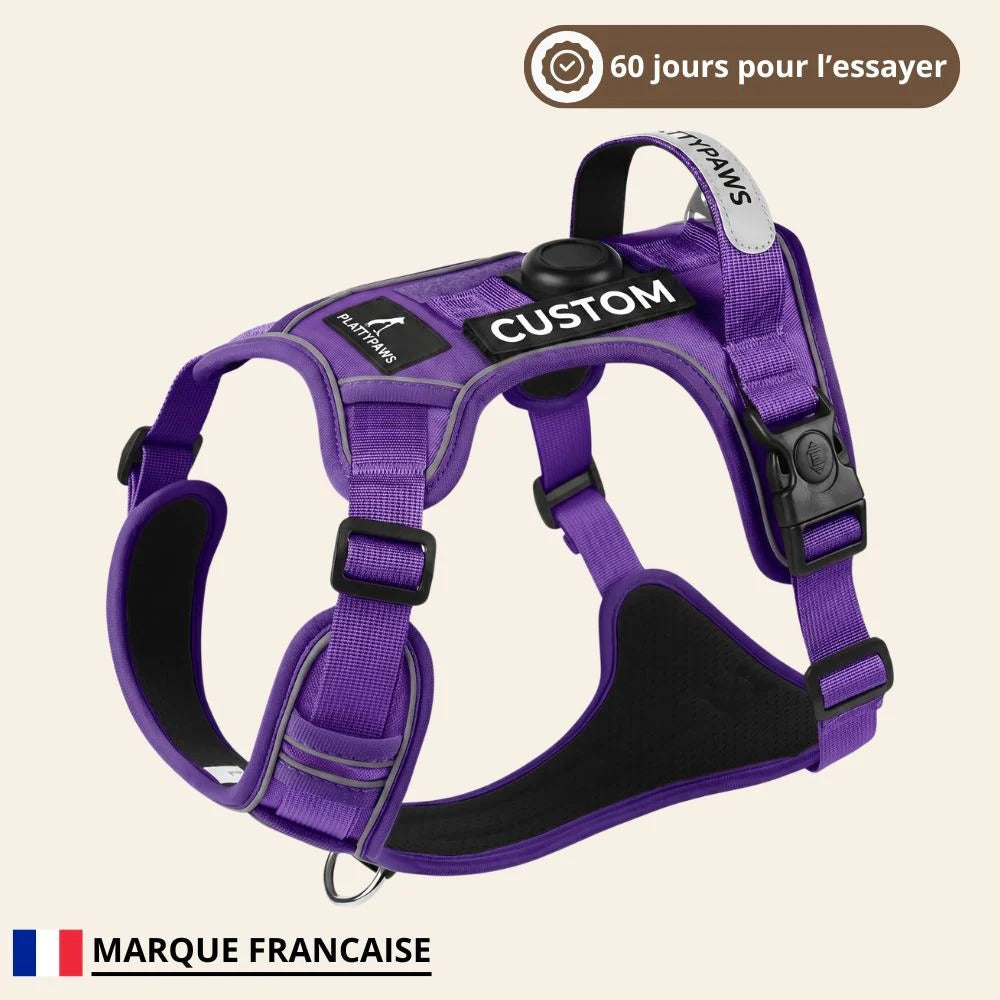 Harnais WoofWalk Violet