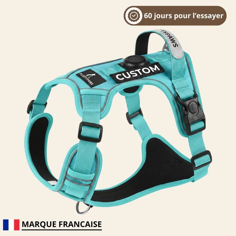 Harnais WoofWalk Turquoise