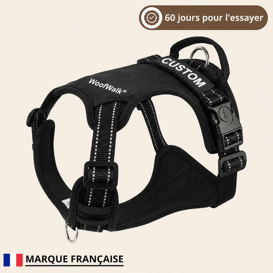 Harnais anti-traction WoofWalk noir